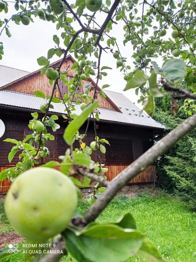 Gospodarstwo Agroturystyczne U Stasikow Spytkowice  Eksteriør billede